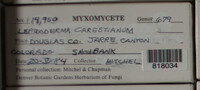 Image Associated With the Occurence